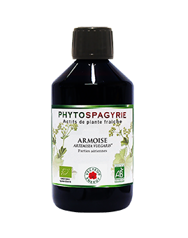 phytospagyrie armoise-France-phytominero.com
