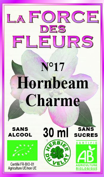 la-force-des-fleurs-hornbeam-france-phytominero