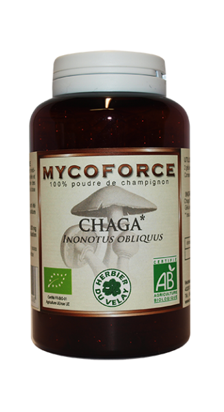 Chaga-Mycoforce-phytominero.com