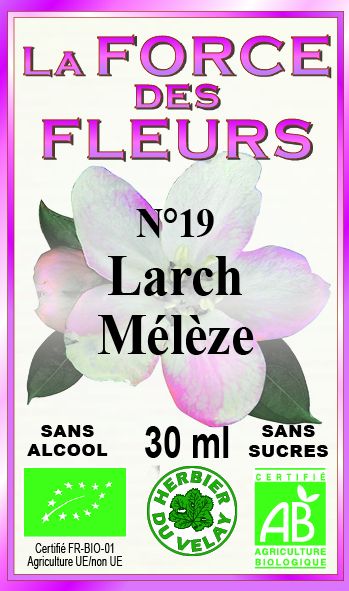 la-force-des-fleurs-france-larch-phytominero