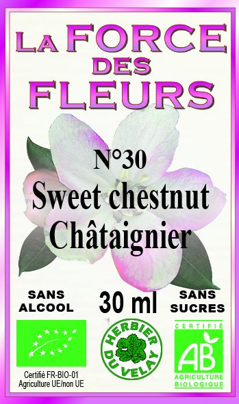 la-force-des-fleurs-sweet-chestnut-france-phytominero