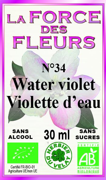 la-force-des-fleurs-water-violet-france-phytominero