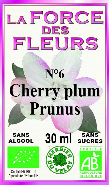 la-force-des-fleurs-cherry-plum-france-phytominero