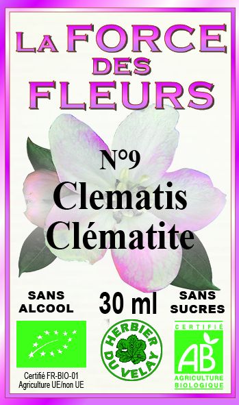 la-force-des-fleurs-clematis-france-phytominero