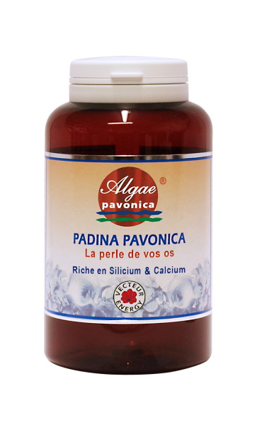 padina pavonica-Vecteur Energy-phytominero.com