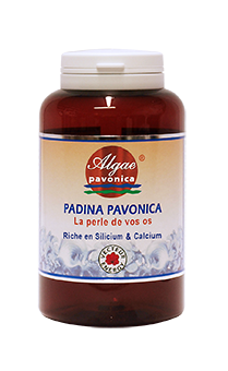 padina pavonica-vecteur-energy-phytominero.com