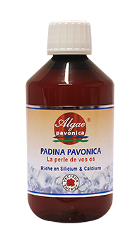 padina pavonica - Vecteur Energy - phytominero.com