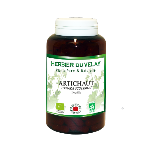 Artichaut-gelules-Bio-phytominero.com