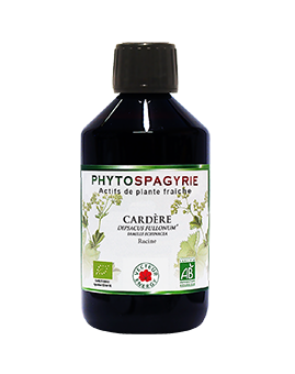 cardere-France-phytominero.com