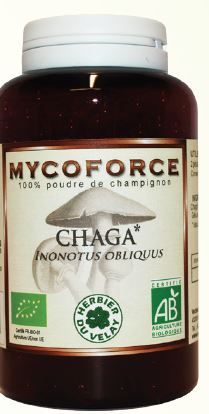 Mycoforce Chaga bio-vecteurenergy-phytominero.com