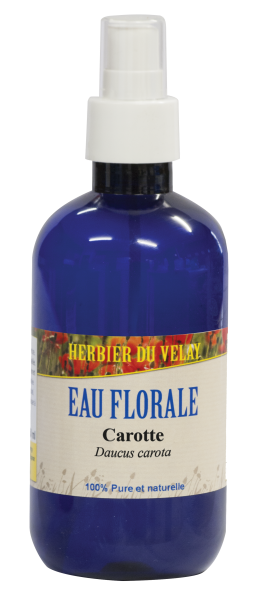 eau florale carotte-France-phytominero.com
