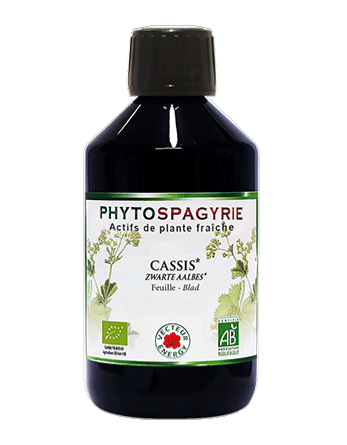 cassis-elixir-phytominero.com