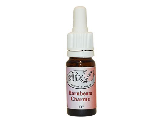 elixir-floral-charme-phytominero.com.