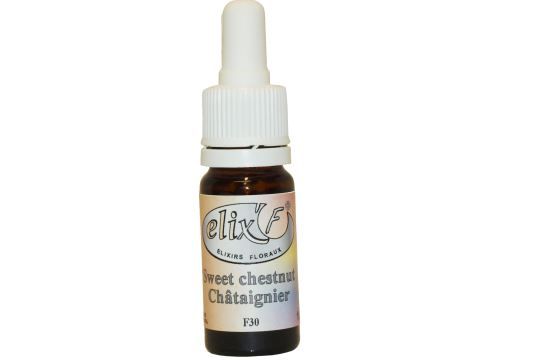 elixir-floral-chataignier-phytominero.com