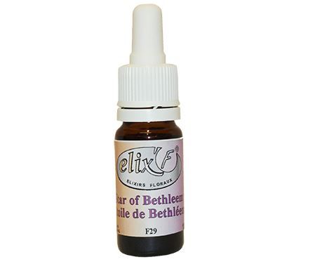 elixir-floral-etoile-de-bethleem-phytominero.com