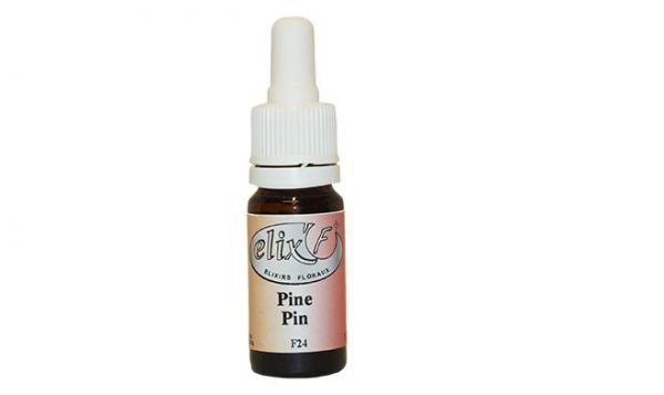 elixir-floral-pin-phytominero.com