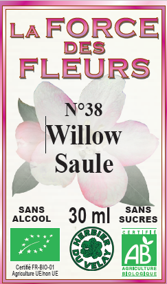 la-force-des-fleurs-willow-france-phytominero