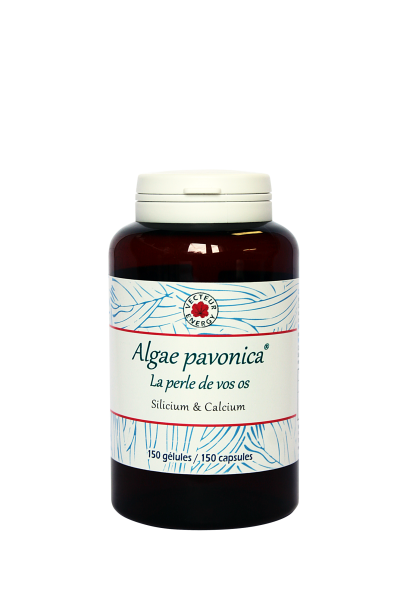 gelules padina pavonica - phytominero.com