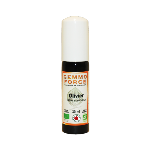 gemmo-force-olivier-phytominero.com