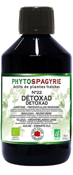 phytospagyrie-22-detoxad-phytominero.com