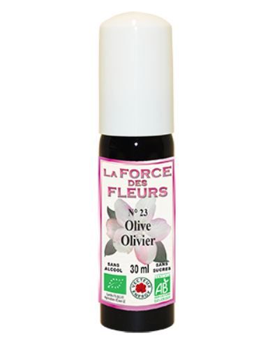 la-force-des-fleurs-olivier-phytominero.com