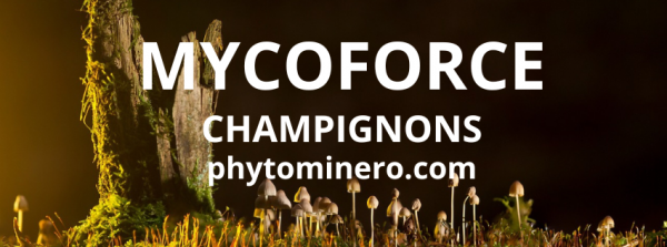mycoforce-phytomiero.com