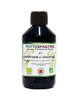 phytospagyrie-11-digestion-vecteur-energy-phytominero.com