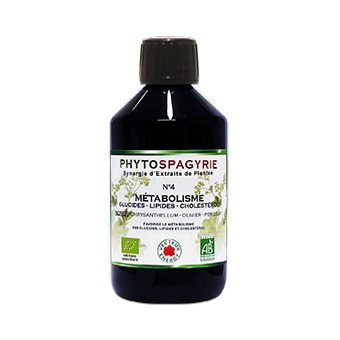 phytospagyrie-4-metabolisme-phytominero.com