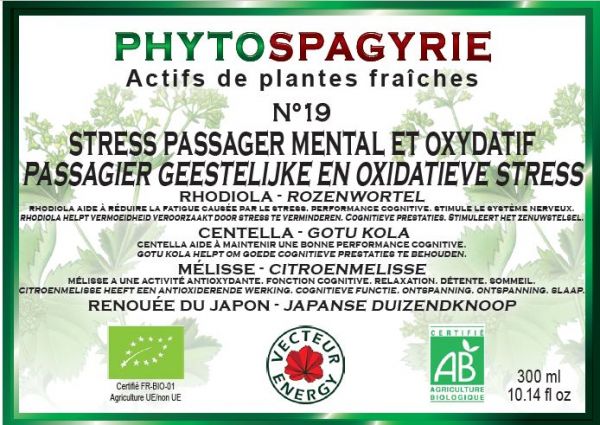 Phytospagyrie-stress-phytominero.com