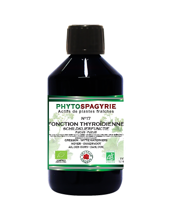 phytospagyrie-17-fonction-thyroidienne-phytominero.com