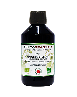 phytospagyrie-7-amincissement-phytominero.com