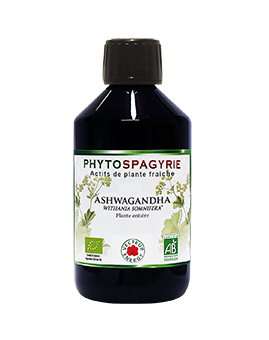 Phytospagyrie Ashwagandha - vecteur energy - phytominero.com
