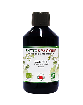 phytospagyrie-courge-phytominero.com