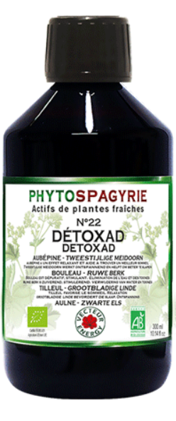 detoxad-phytominero.com