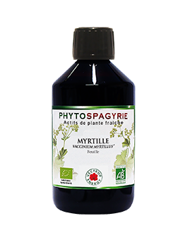 phytospagyrie myrtille - vision - phytominero.com