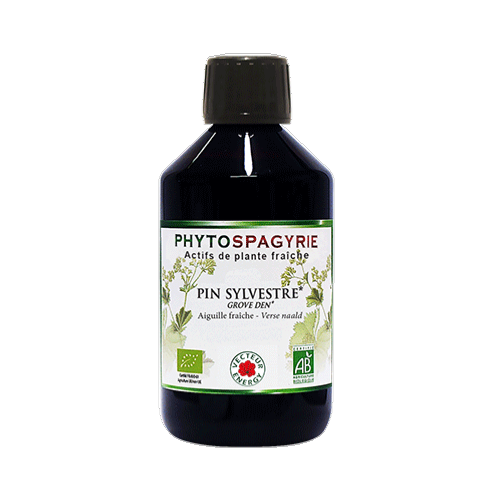 phytospagyrie-pin-sylvestre-aiguilles-phytominero.com