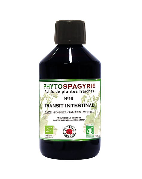 phytospagyrie-N16-transit-intestinal-France-phytominero.com