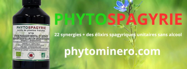 elixirs-de-plantes-phytominero.com