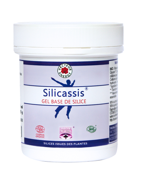 silicassis-gel-de-base-silice-phytominero.com