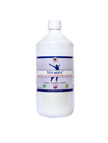 silicassis-silicium-phytominero.com