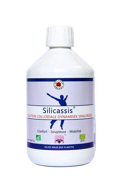 silicassis-phytominero.com