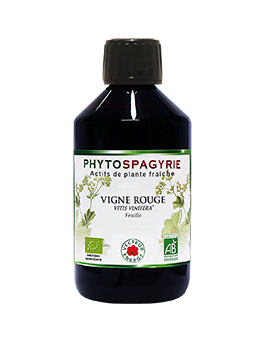 phytospagyrie-vigne-rouge-phytominero.com